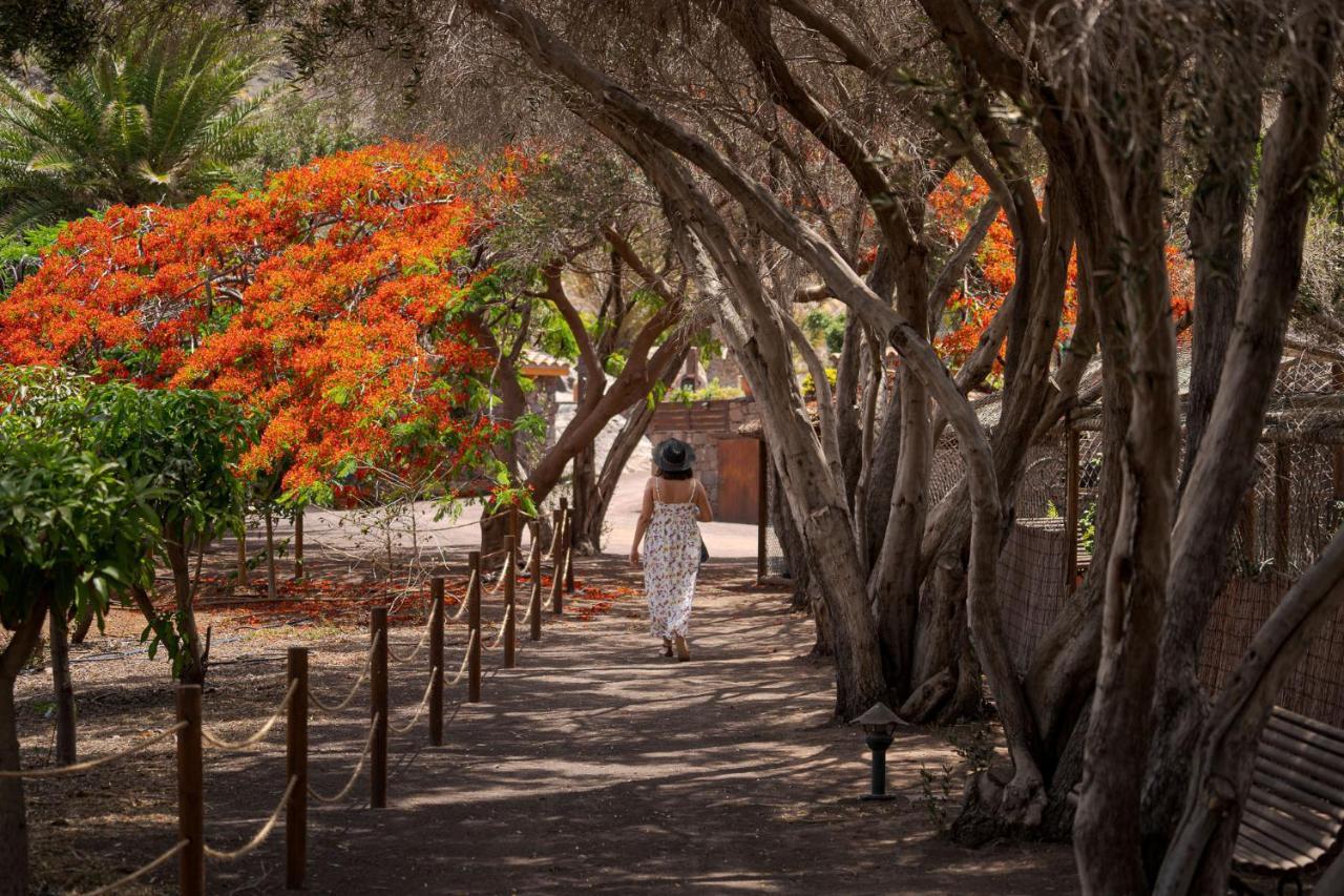 Redondo De Guayedra Konuk evi Dış mekan fotoğraf